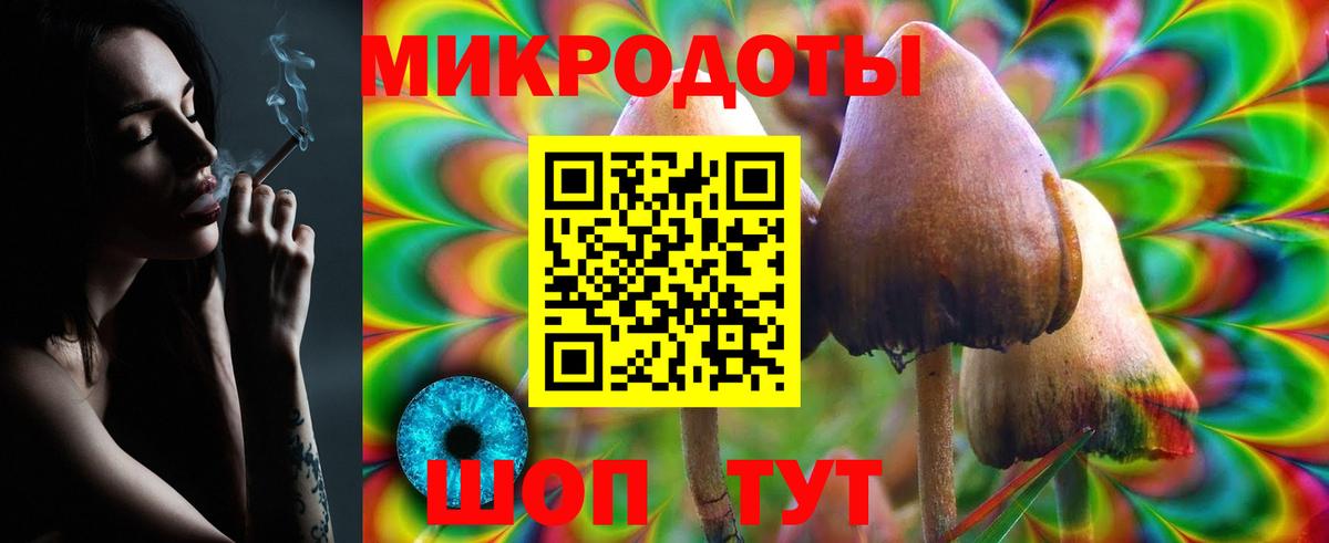 Кизилюрт  закладка  Вход с VPN  Галлюциногенные грибы MAGIC MUSHROOMS 